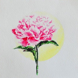 розовый пион