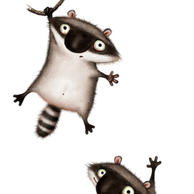 Два енота два