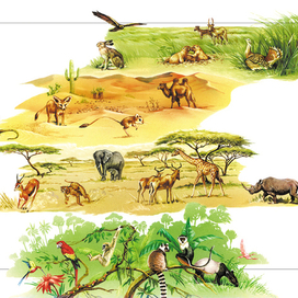 детская энциклопедия