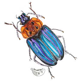 Скетч маркерами