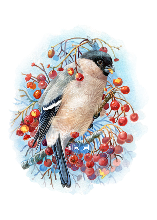 Снегурка на рябине