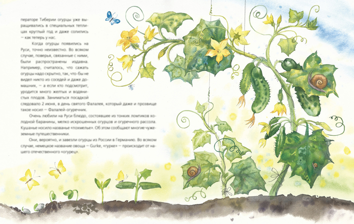  Николай Голь. Жизнь замечательных растений 