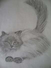 Божественная кошка