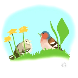 Зяблик и птенец