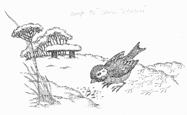 рабочая тетрадь по литературе