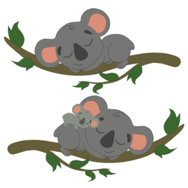 Логотип Коала
