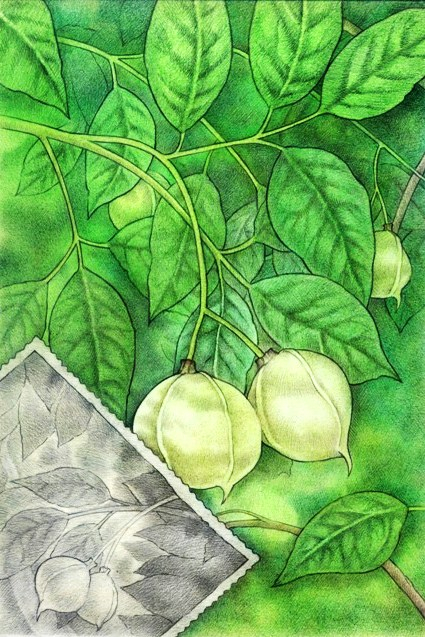 Старое фото