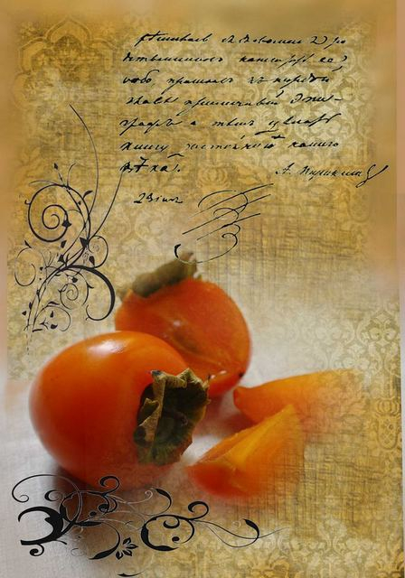 обложка "Хурма"