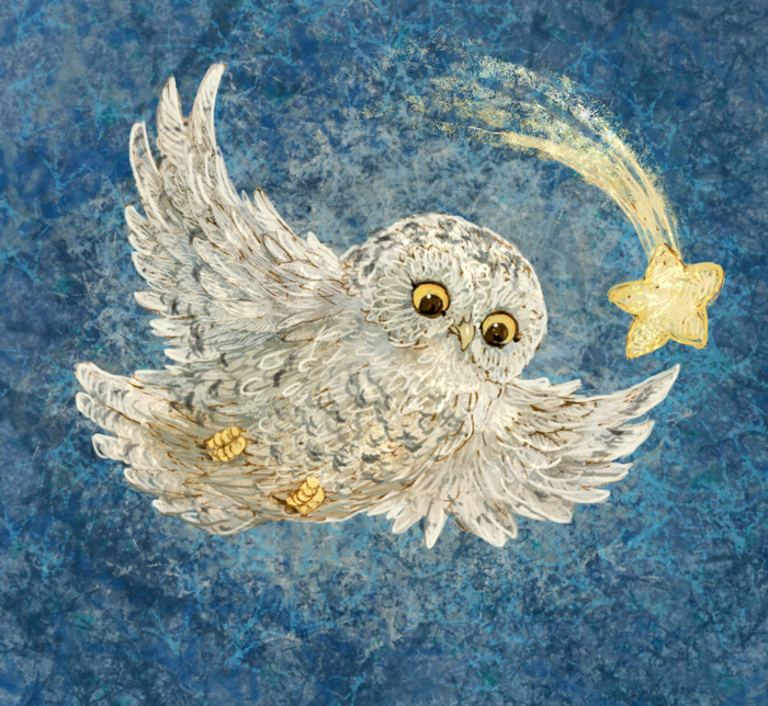 Сова со свездочкой