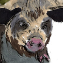 Четыре толстяка