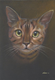 Кто здесь? :)