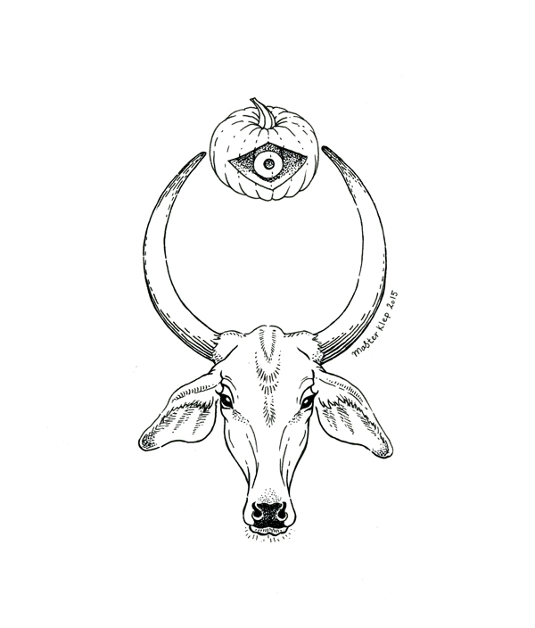 Корова Зебу и тыква