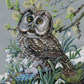 Весна сычика