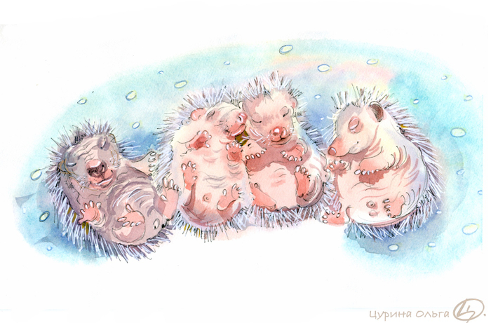 Ежата подрастают