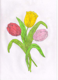 Тюльпаны (Девушки Поздравлю вас от всей души !)