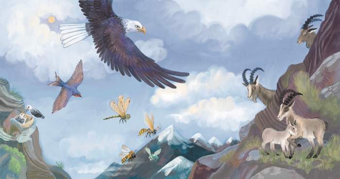 Кто где живёт. Издательство Робинс