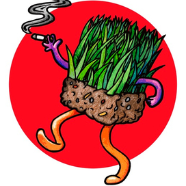 Тупая трава