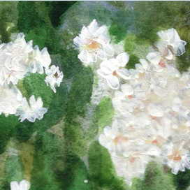 Офелия. Иллюстрация к роману Анны Семироль. Фрагмент.