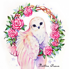 Совушка в розах