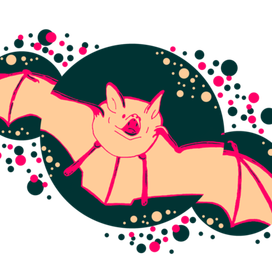 летучая мышь