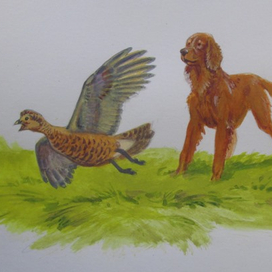 Михаил Пришвин "Рассказы о животных"