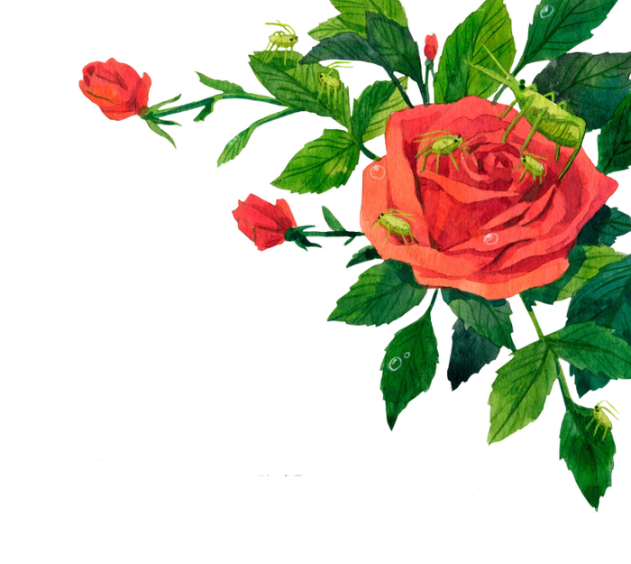 Иллюстрация к сказкам Г.Х. Андерсена