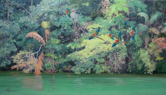 Летящие арары, река Уатуман (вариант №1)