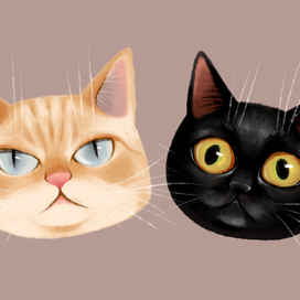 Cats portrait