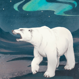 Полярный медведь