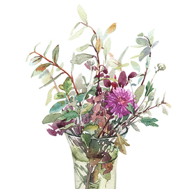 Хризантема и листья голубики