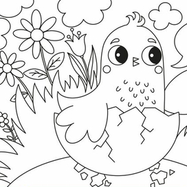 Раскраска КоКоБи