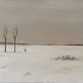 Под Петербургом. Зимний вечер.