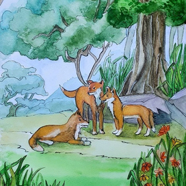 Дикие собаки Динго