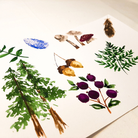 лесная иллюстрация