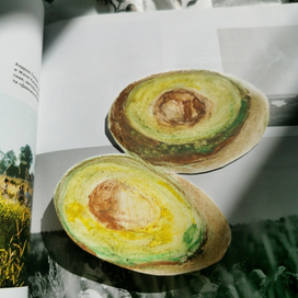 Авокадо