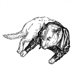 История о том, что и собака может принарядиться