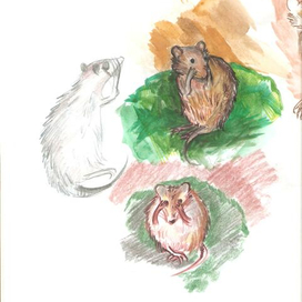 испуганные мышата