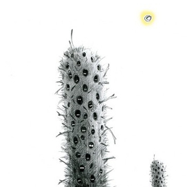 "Время покинуть гнездо",