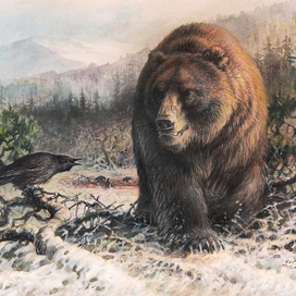 Амба. Конец.