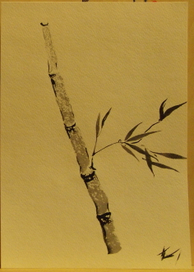 бамбук 1