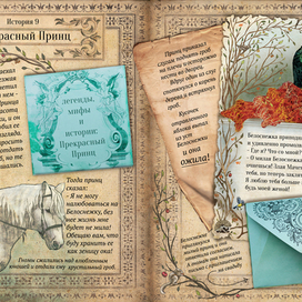 История 9: Прекрасный Принц