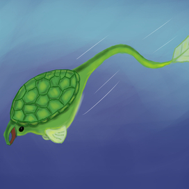 Морская черепашка