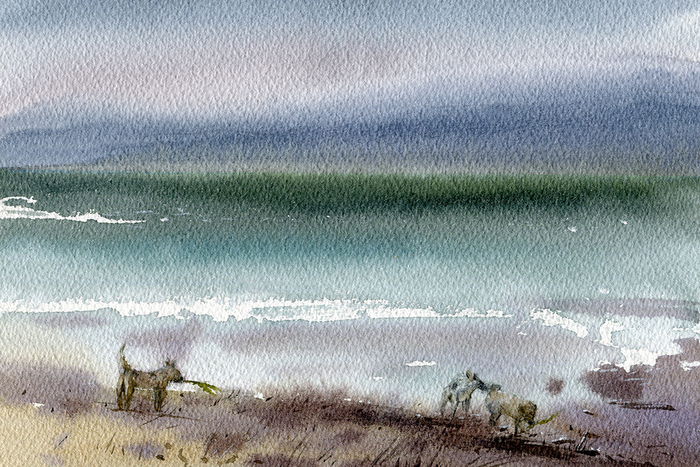 После шторма 