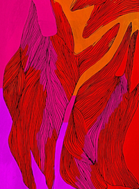 Красные зайцы