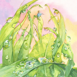 Капли росы...