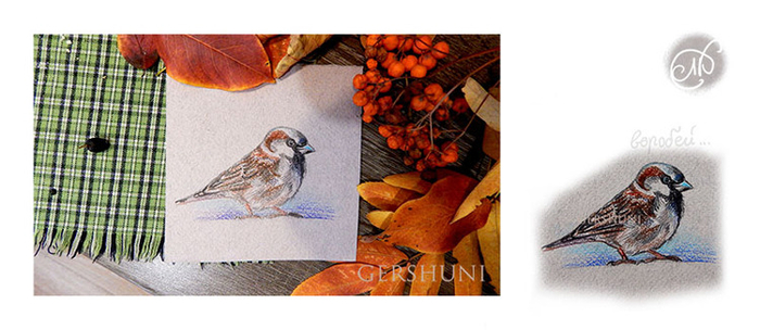 Вариации на тему "воробей"..