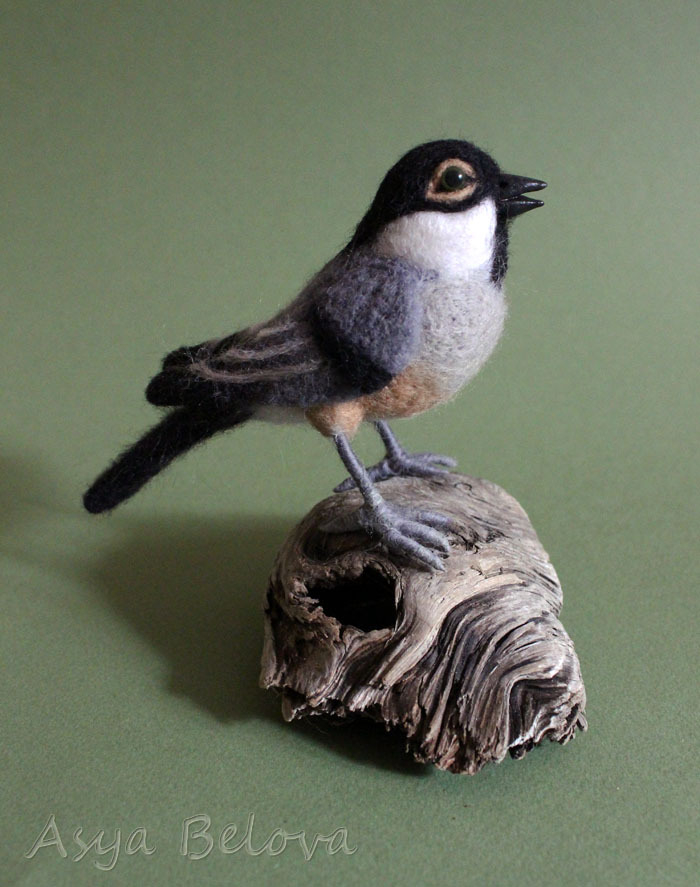 Синичка - гаичка