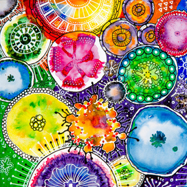 Чашка Петри