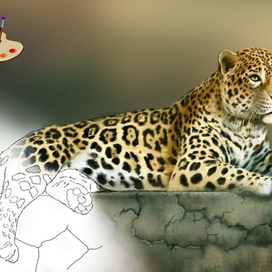 альбом для рисования