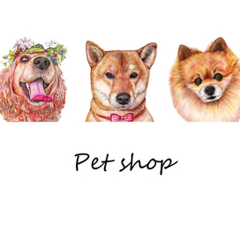 Логотип с тремя питомцами